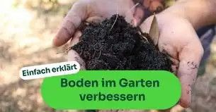 Boden im Garten verbessern