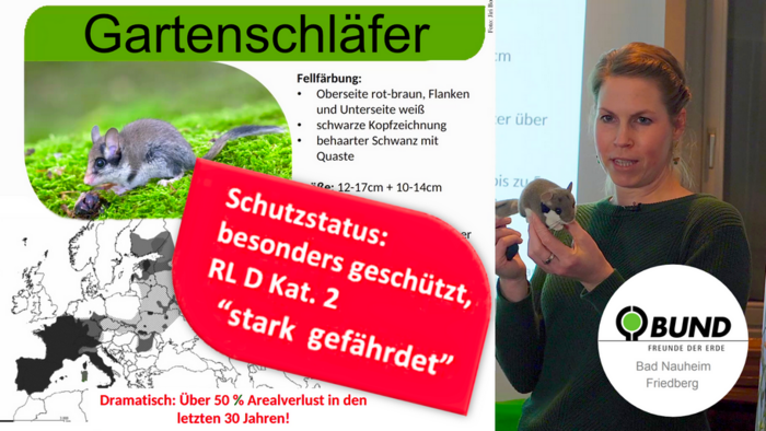 Gartenschläfer-Vortrag