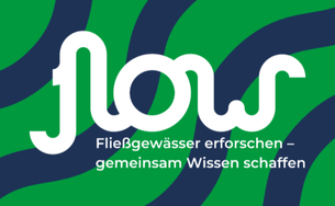 FLOW_Logo