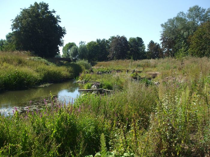 Renaturierte Nidda bei Karben