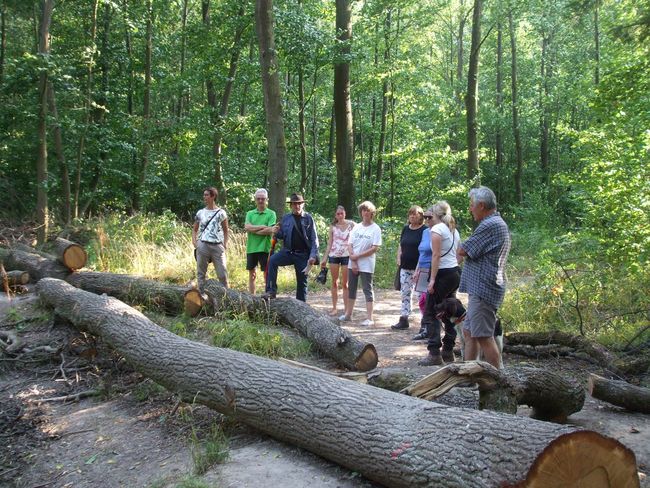 Waldspaziergang 2022