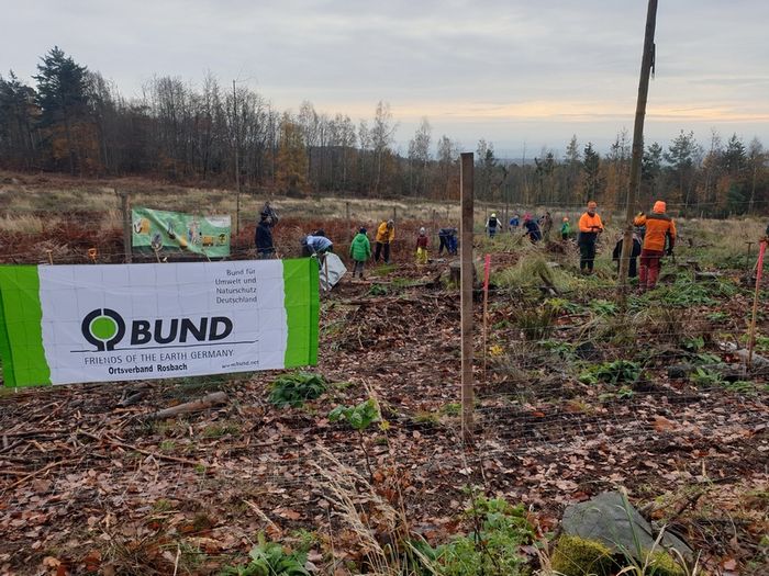 Wald-Pflanzaktion 2023