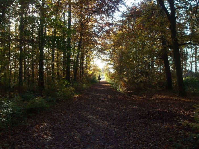 Reiterin im Herbst im Klein-Kärber Wald