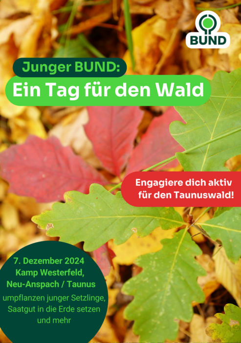 Ein Tag für den Wald