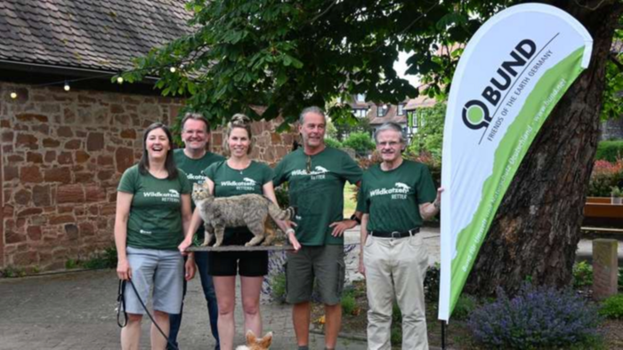 Wildkatzen leben im Büdinger Wald
