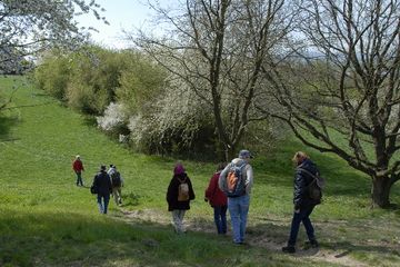 NSG Höll von Rockenberg