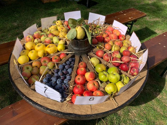 Wagenrad mit Obst von einer Streuobstwiese