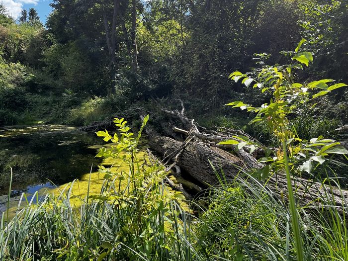 Grundstück Bad Vilbel/Gronau