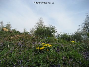 NSG Höll von Rockenberg