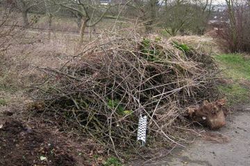 Streuobstwiesenpflege