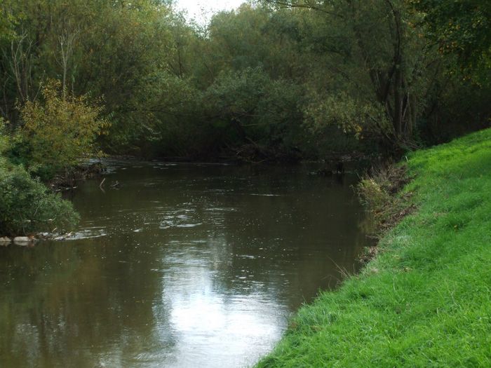 Nidda bei Karben/Bad Vilbel Herbst 2022
