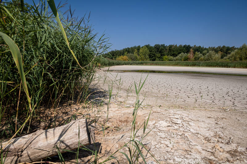 Klimakrise dürre in Franken, Ufer des Rothenbachsees