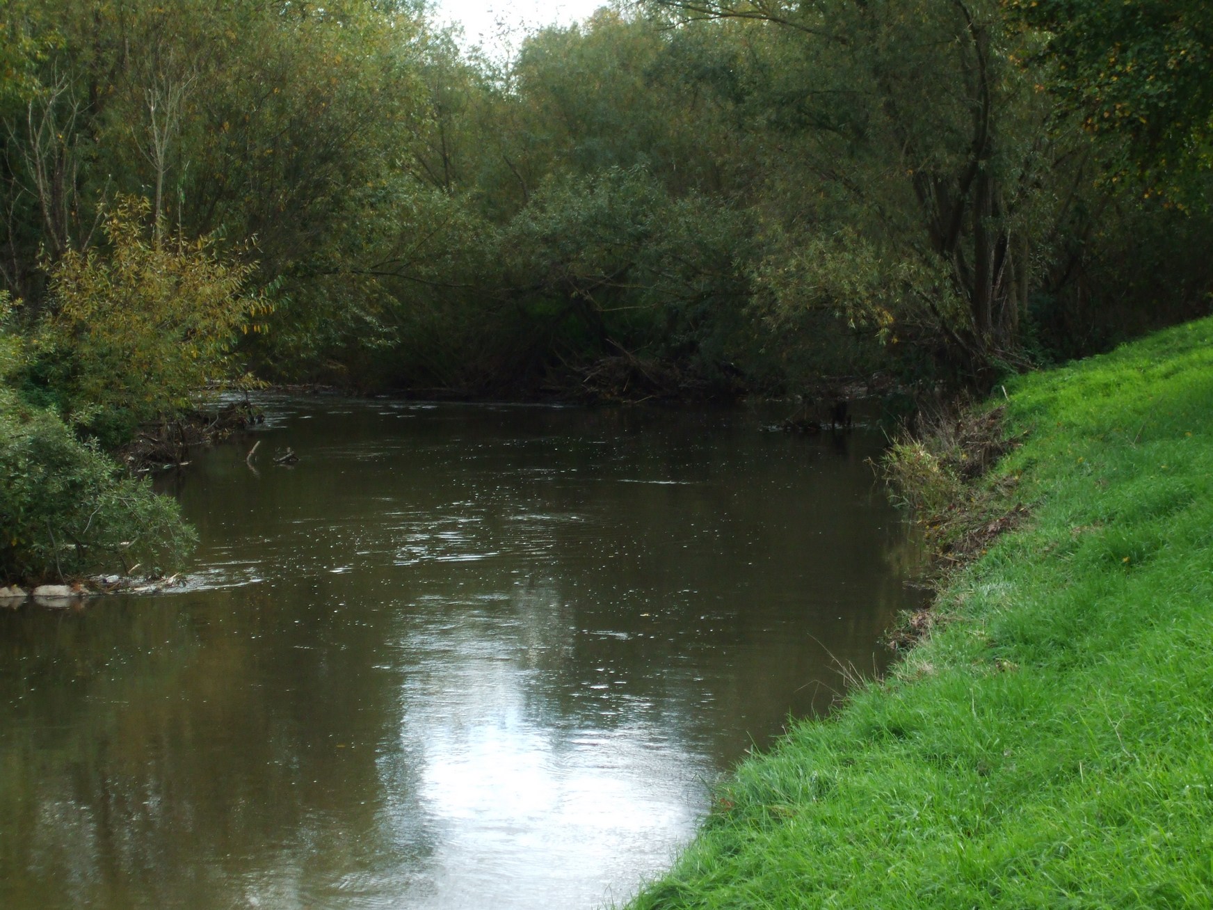 Nidda bei Karben/Bad Vilbel Herbst 2022