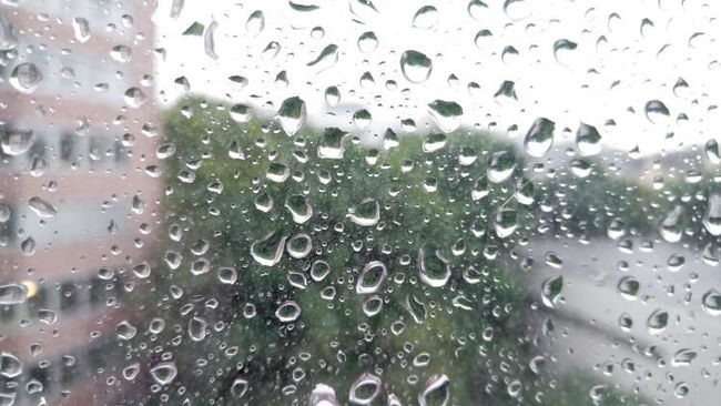 Regentropfen am Fenster