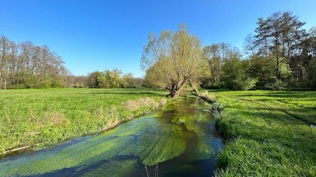 Bachlauf
