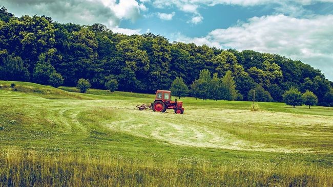 Landwirtschaft mit Traktor