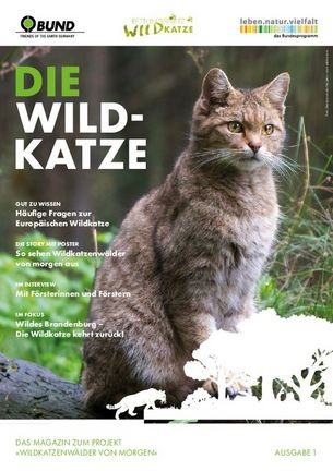 Wildkatze Magazin 2024